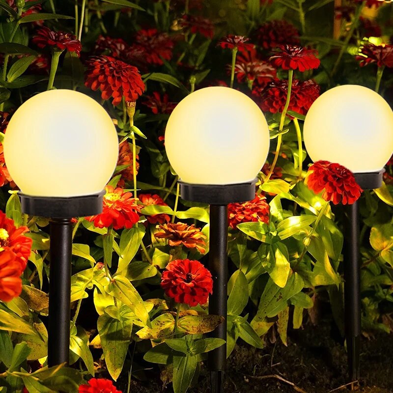Buy one and get one free | SolaNova - Solar garden lighting