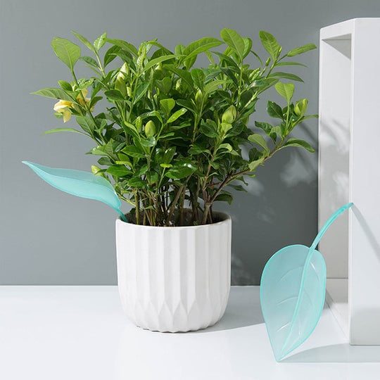 3+3 FREE | Leafy - Leaf Design Watering Funnel [Last Day Sale]