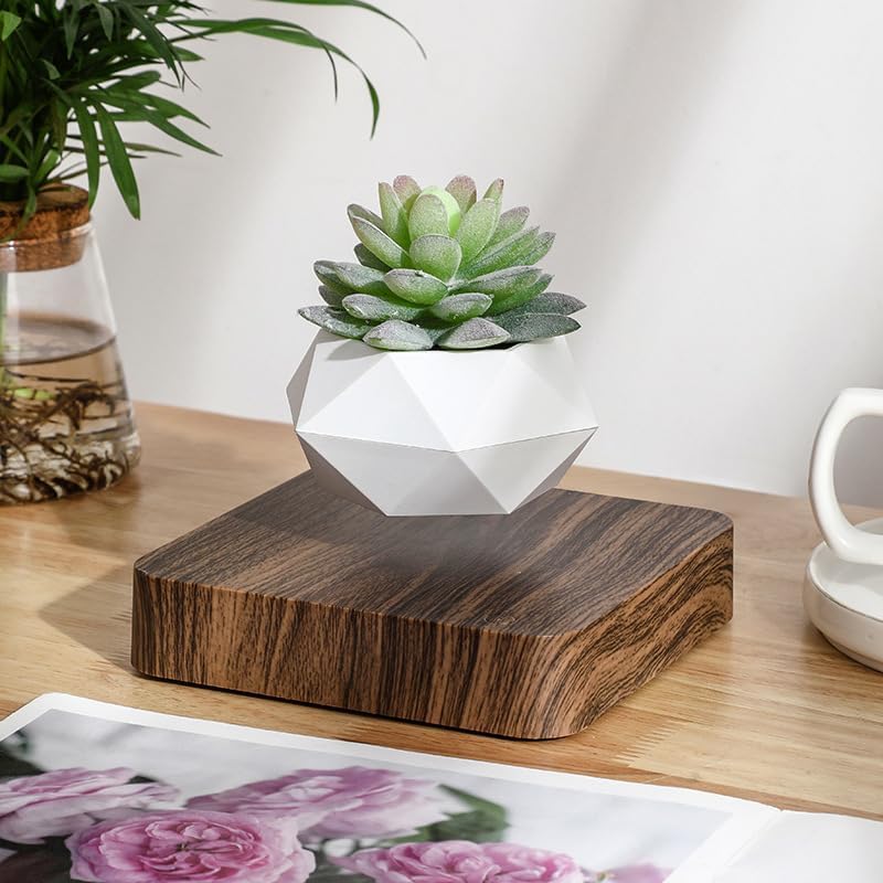 Plantlev - The floating plant that catches everyone's attention!