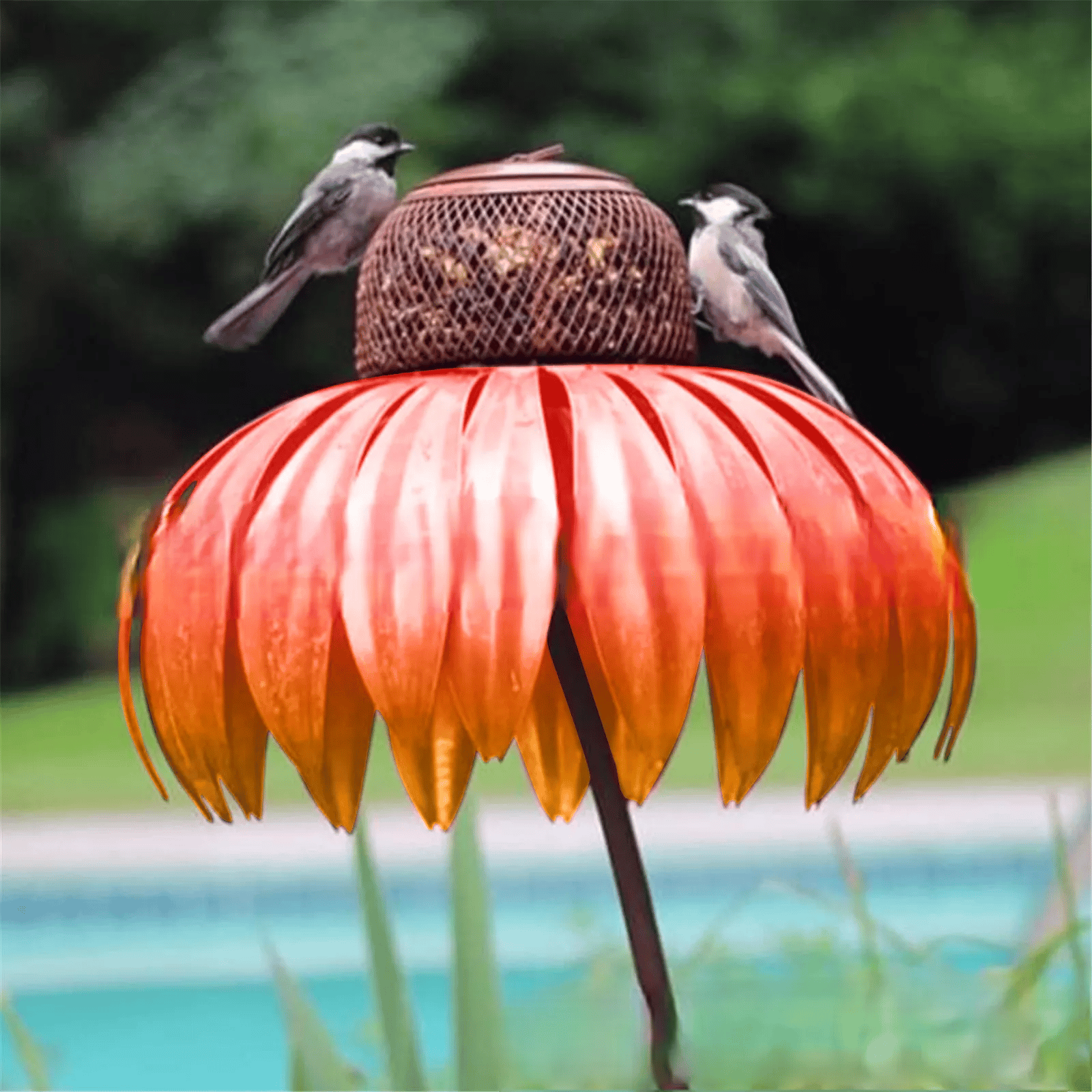 Buy one and get one free | FlorAvian™ - Coneflower Bird Feeder [Last-day sale]