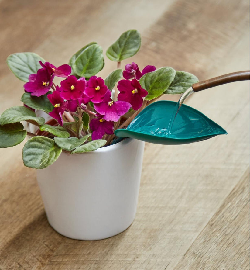 3+3 FREE | Leafy - Leaf Design Watering Funnel [Last Day Sale]