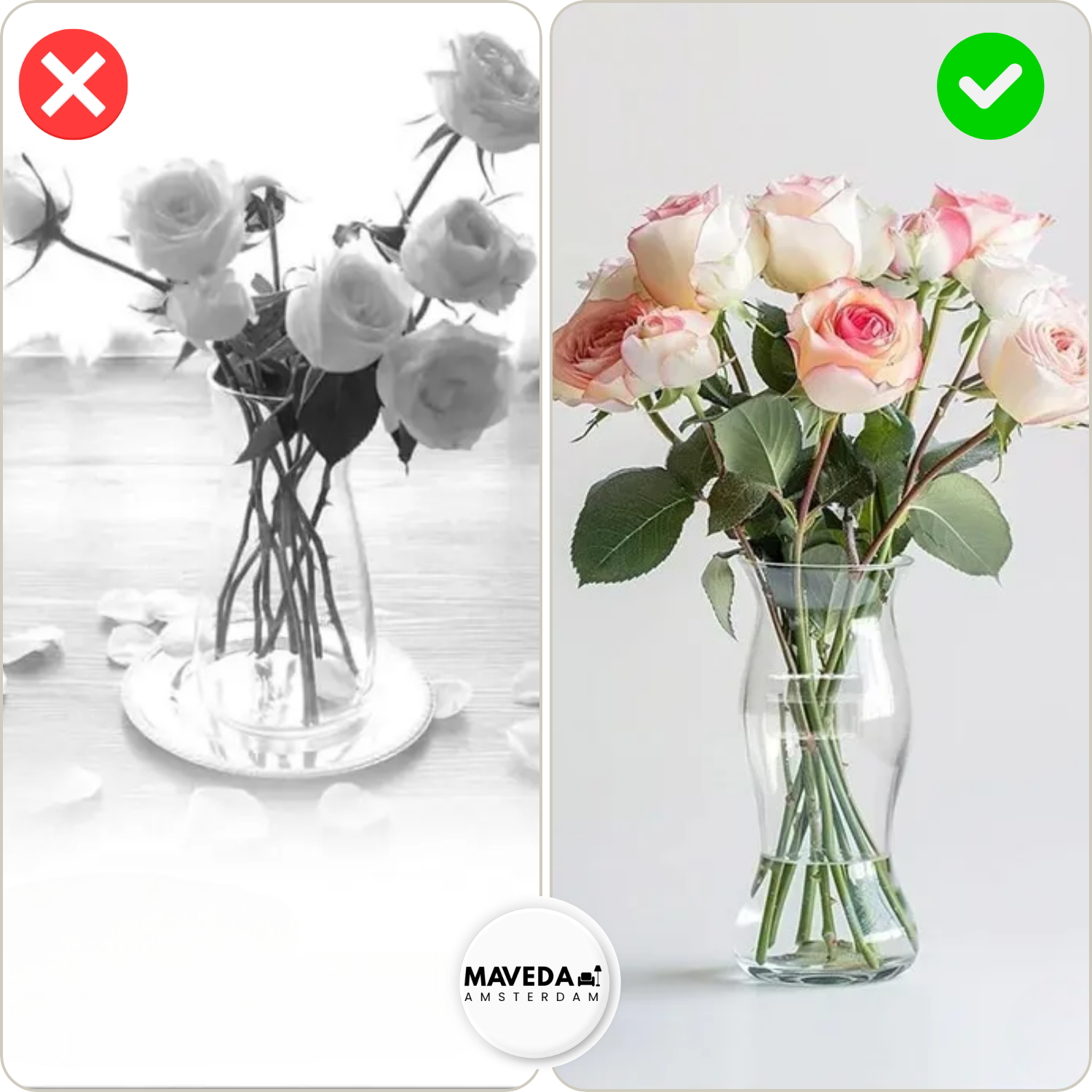 Buy 1+1 FREE | BloomHolder - Perfect arrangements in seconds