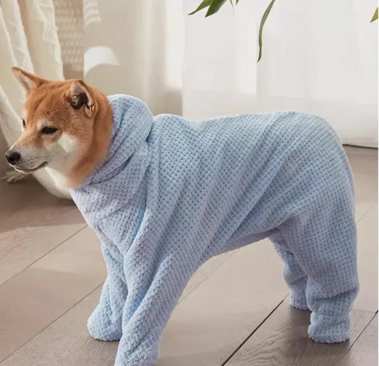 PawWrap - Fast-drying, comfortable protection [Last day sale] 