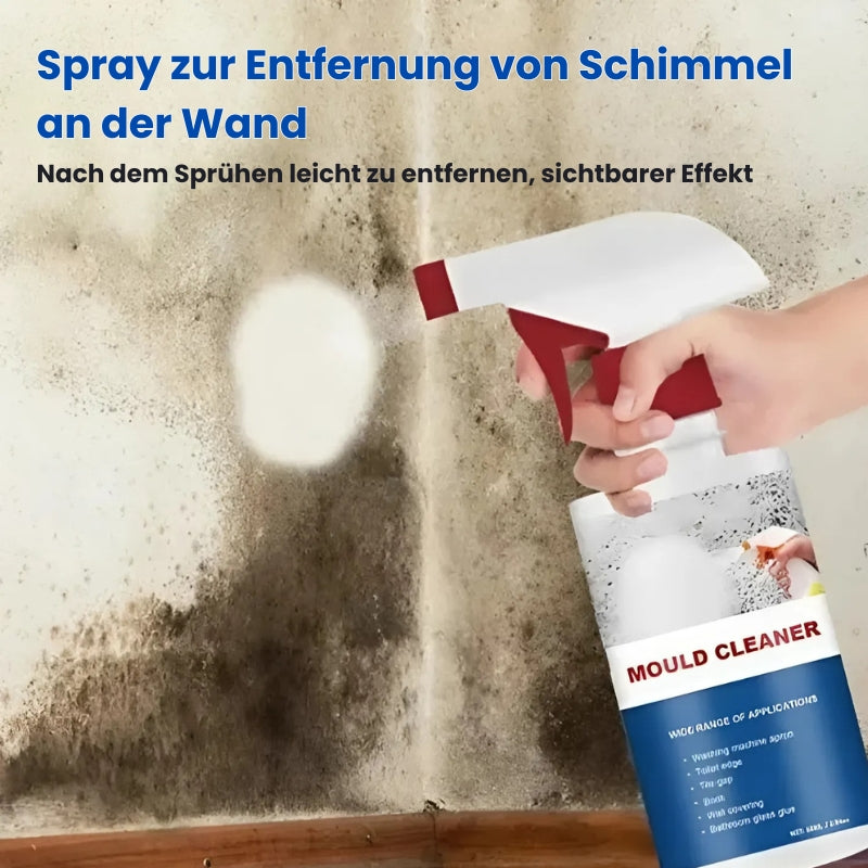 1+1 FREE | SprayAll™ - Effective mold cleaning spray [Last day discount]