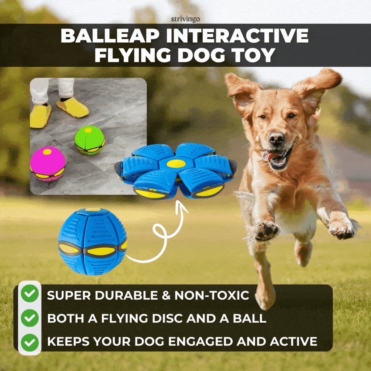 DogZoomer - Interactive Flying Dog Toy [Last Day Sale]