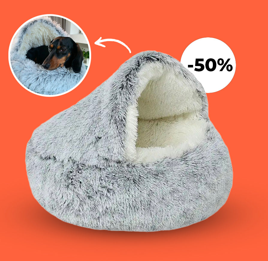PetCloud - My dog loves it [Last day sale]