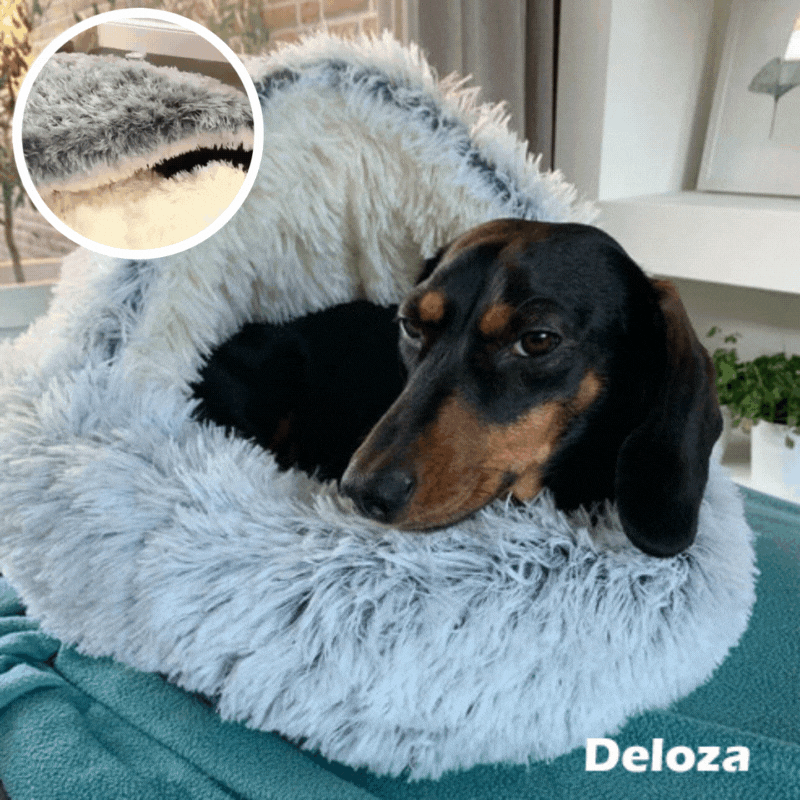 50% OFF | PurrRest™ - Comfortable Pet Bed [Last Day Sale]