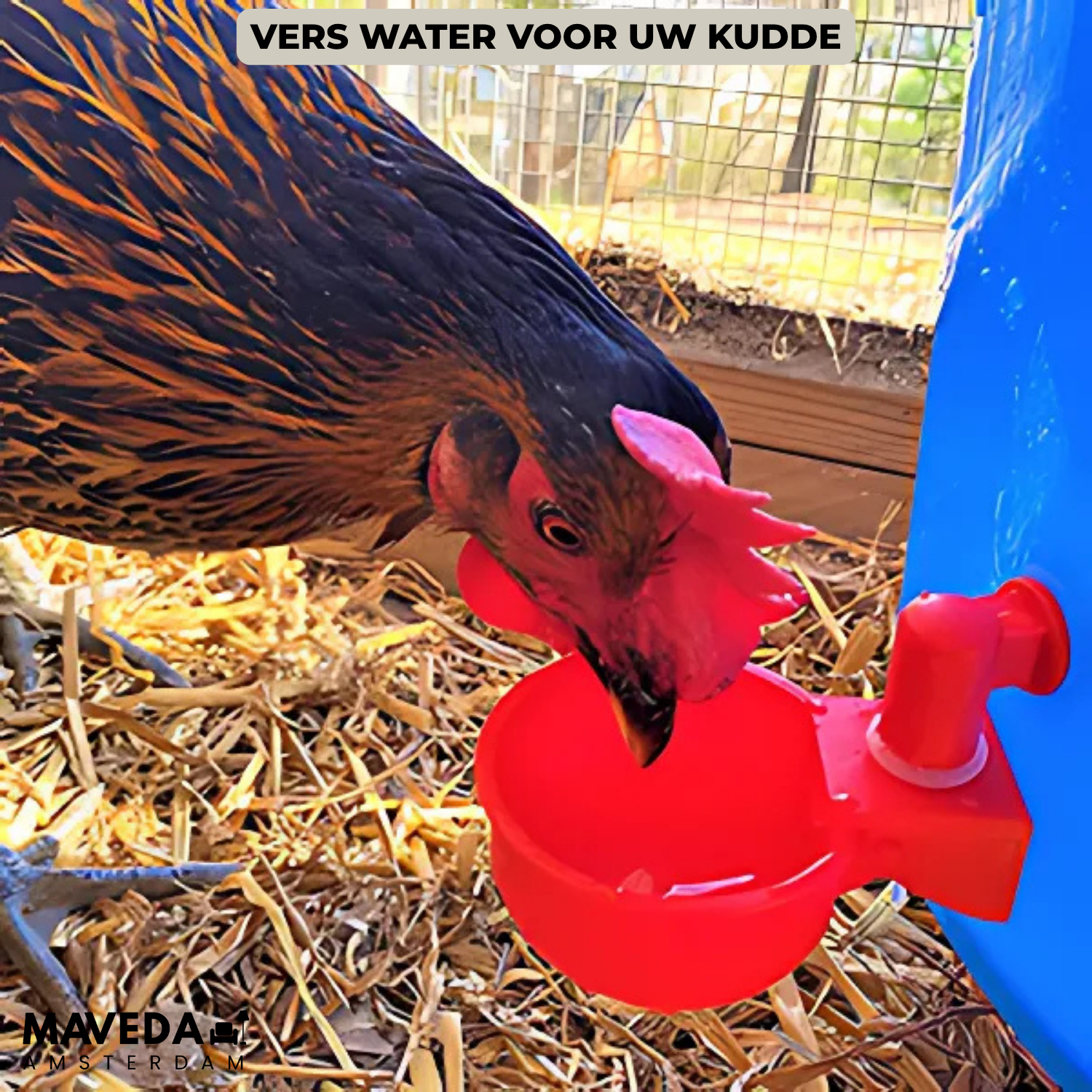 3+3 FREE | AquaNest - Fresh water for happy animals