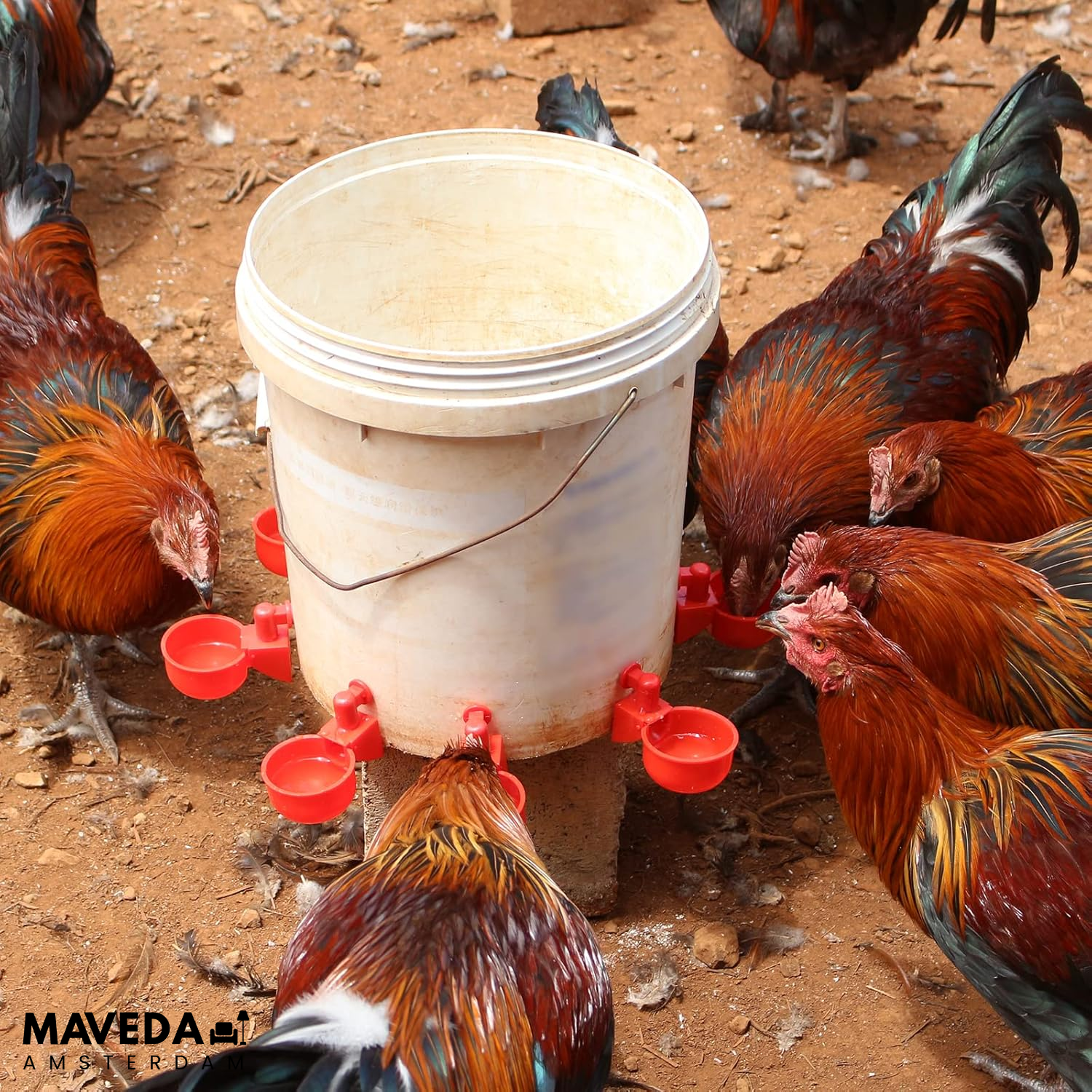 3+3 FREE | AquaNest - Fresh water for happy animals