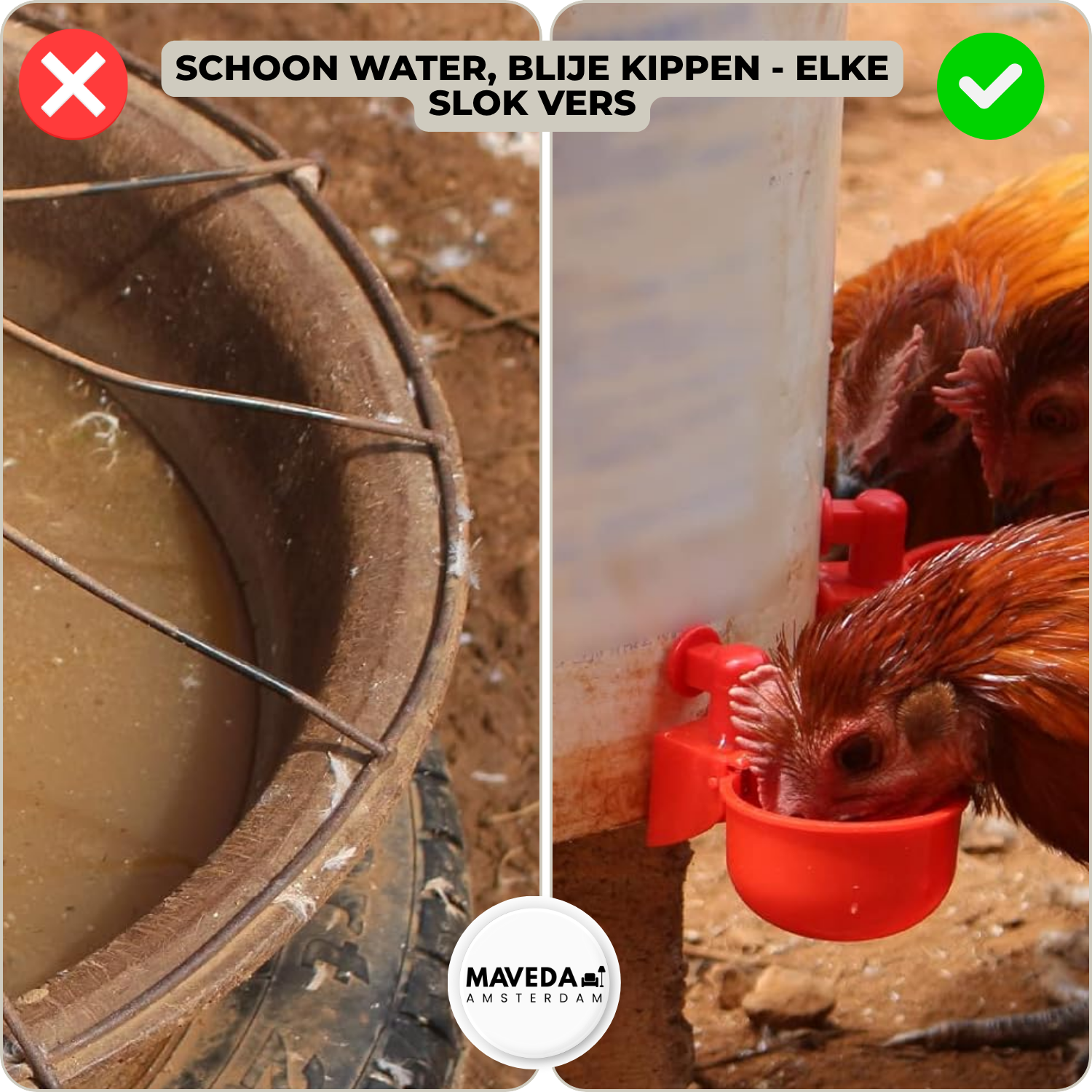 3+3 FREE | AquaNest - Fresh water for happy animals