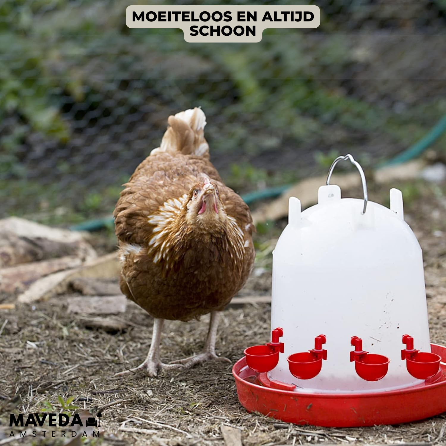 3+3 FREE | AquaNest - Fresh water for happy animals