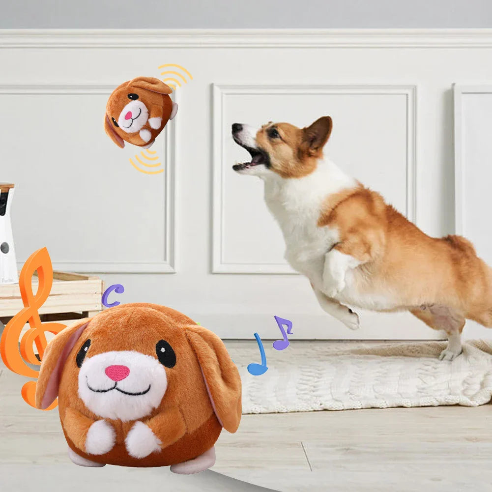 PawMotion - hours of play without boredom