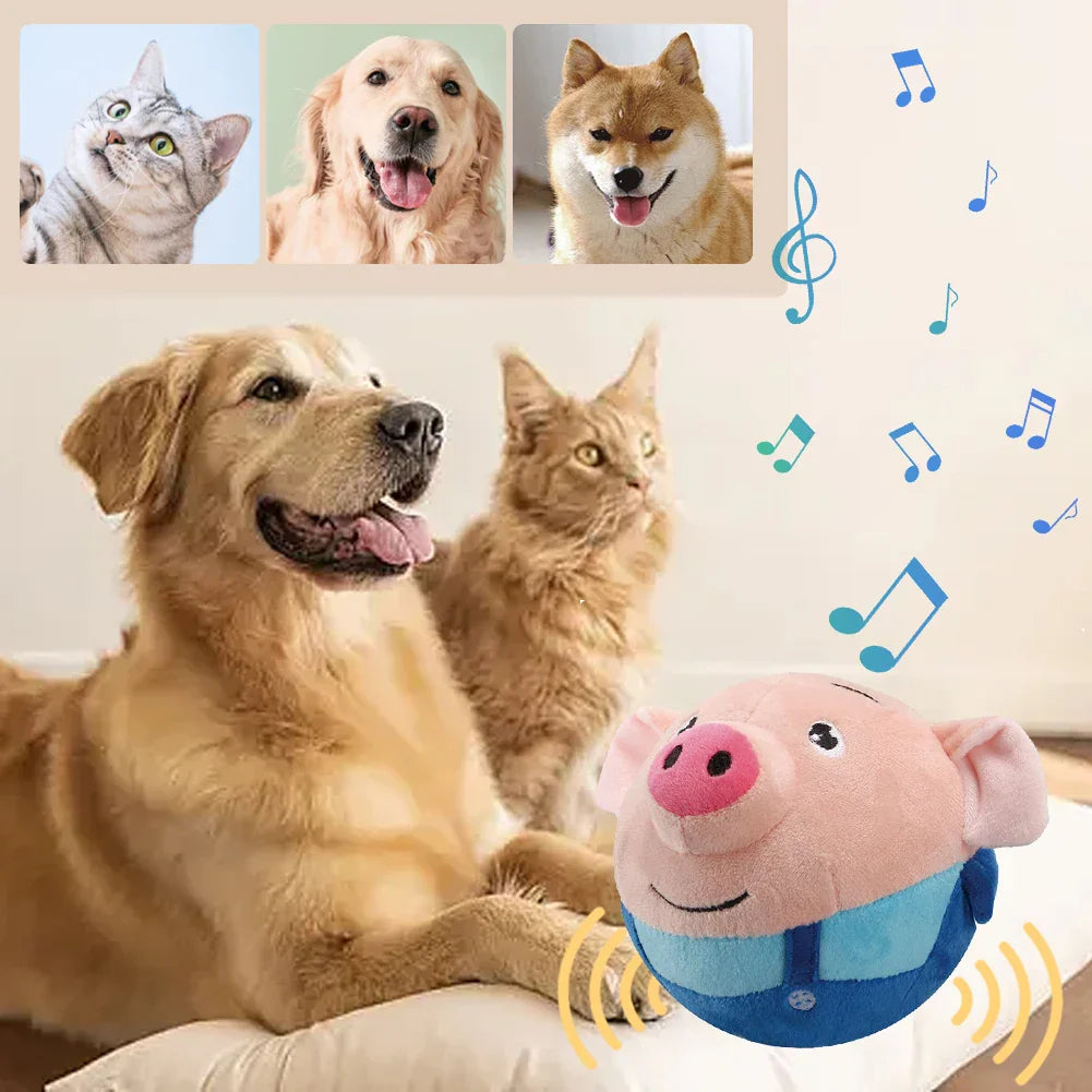 PawMotion - hours of play without boredom