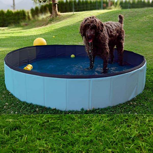 FoldiPool - The foldable pool oasis for pets &amp; kids!
