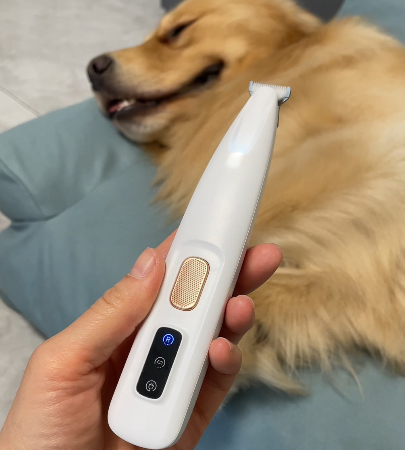 PurrTrim - Effortless coat care for happy pets