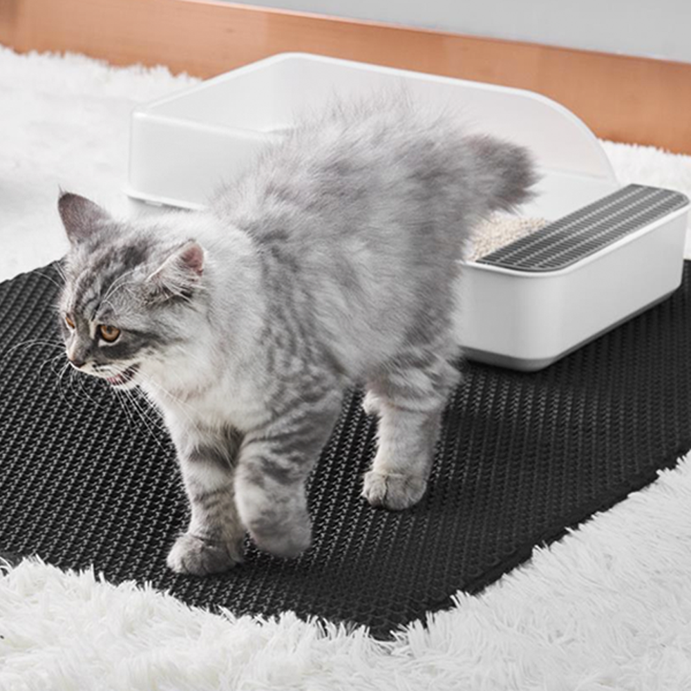 FurFresh - No more cat litter in the house! [Last day sale] 
