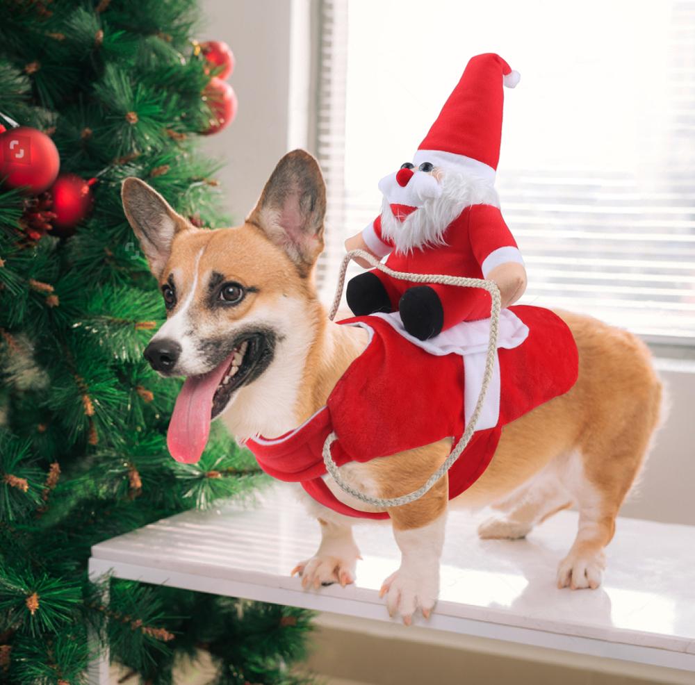50% OFF | HollyPaws - Cozy, Adjustable Christmas Outfit for Dogs [Last Day Sale]