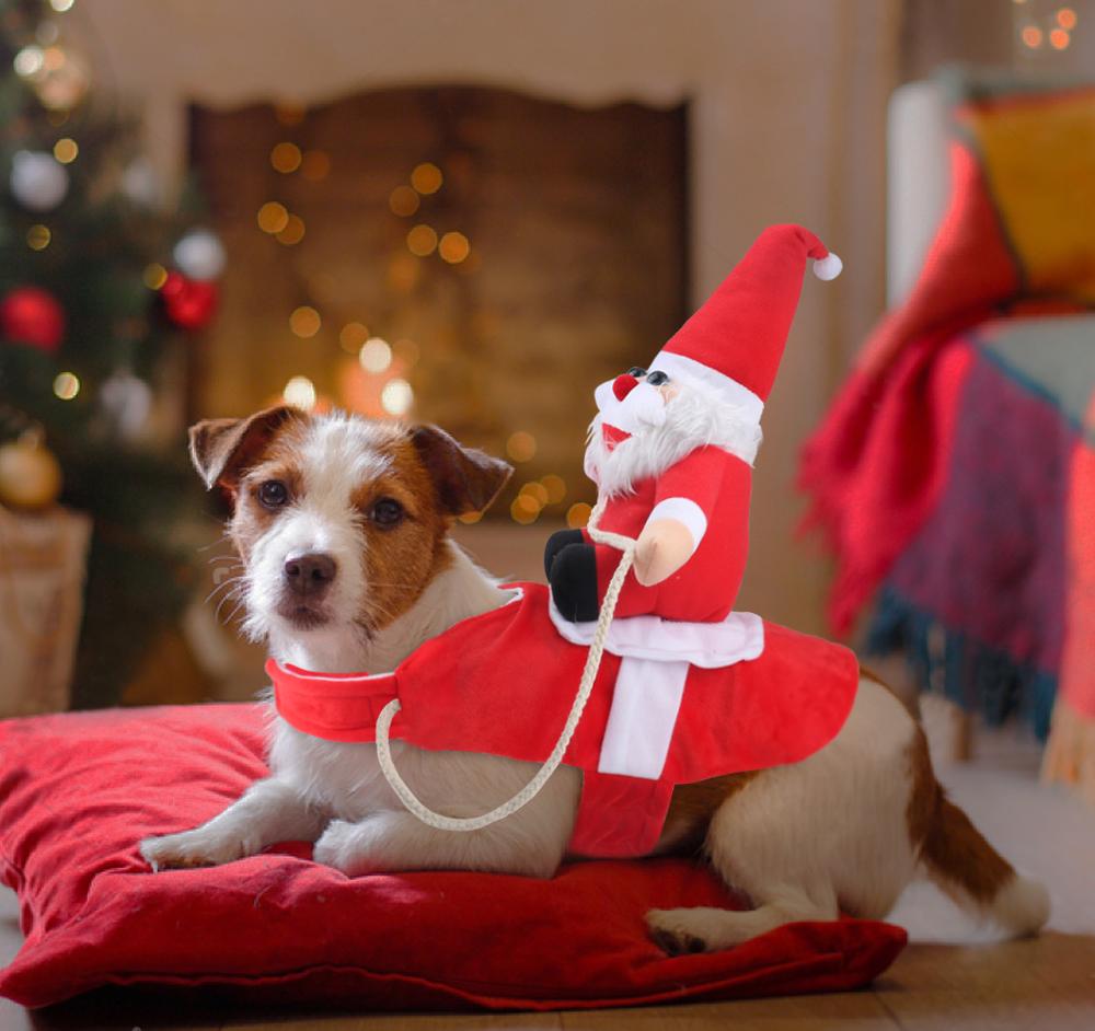 50% OFF | HollyPaws - Cozy, Adjustable Christmas Outfit for Dogs [Last Day Sale]