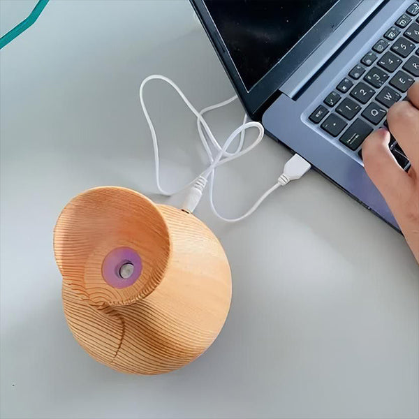 AromaMist - LED humidifier with essential oils