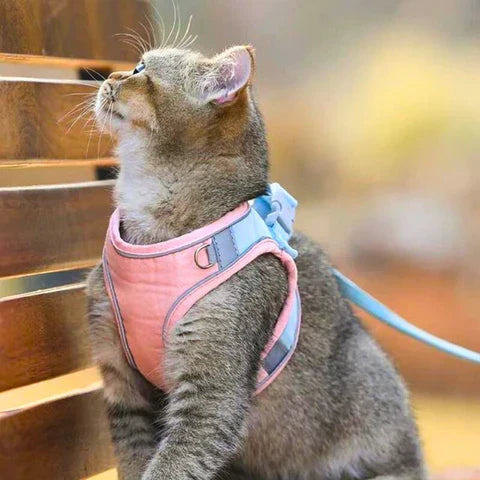 50% OFF | CatGuard - Cat Harness with Reflective Stripes [Last Day Sale]