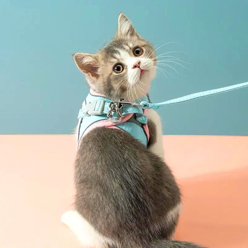 50% OFF | CatGuard - Cat Harness with Reflective Stripes [Last Day Sale]