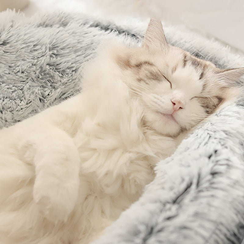 KittyCove™ - Sleeping Basket for Your Cat [Last Day Sale]