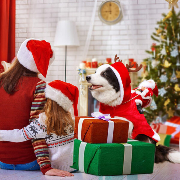 50% OFF | HollyPaws - Cozy, Adjustable Christmas Outfit for Dogs [Last Day Sale]