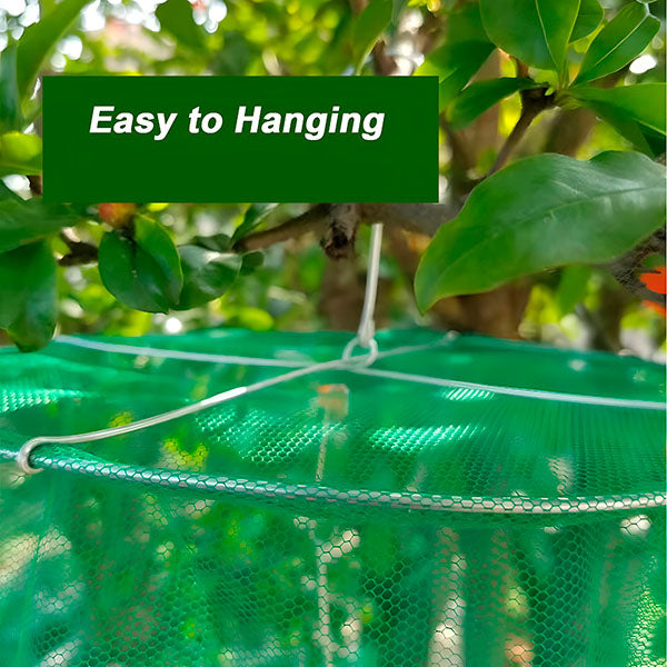 FlyCage - put an end to flies in the garden and in the house 
