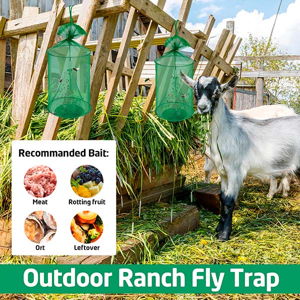 FlyCage - put an end to flies in the garden and in the house 