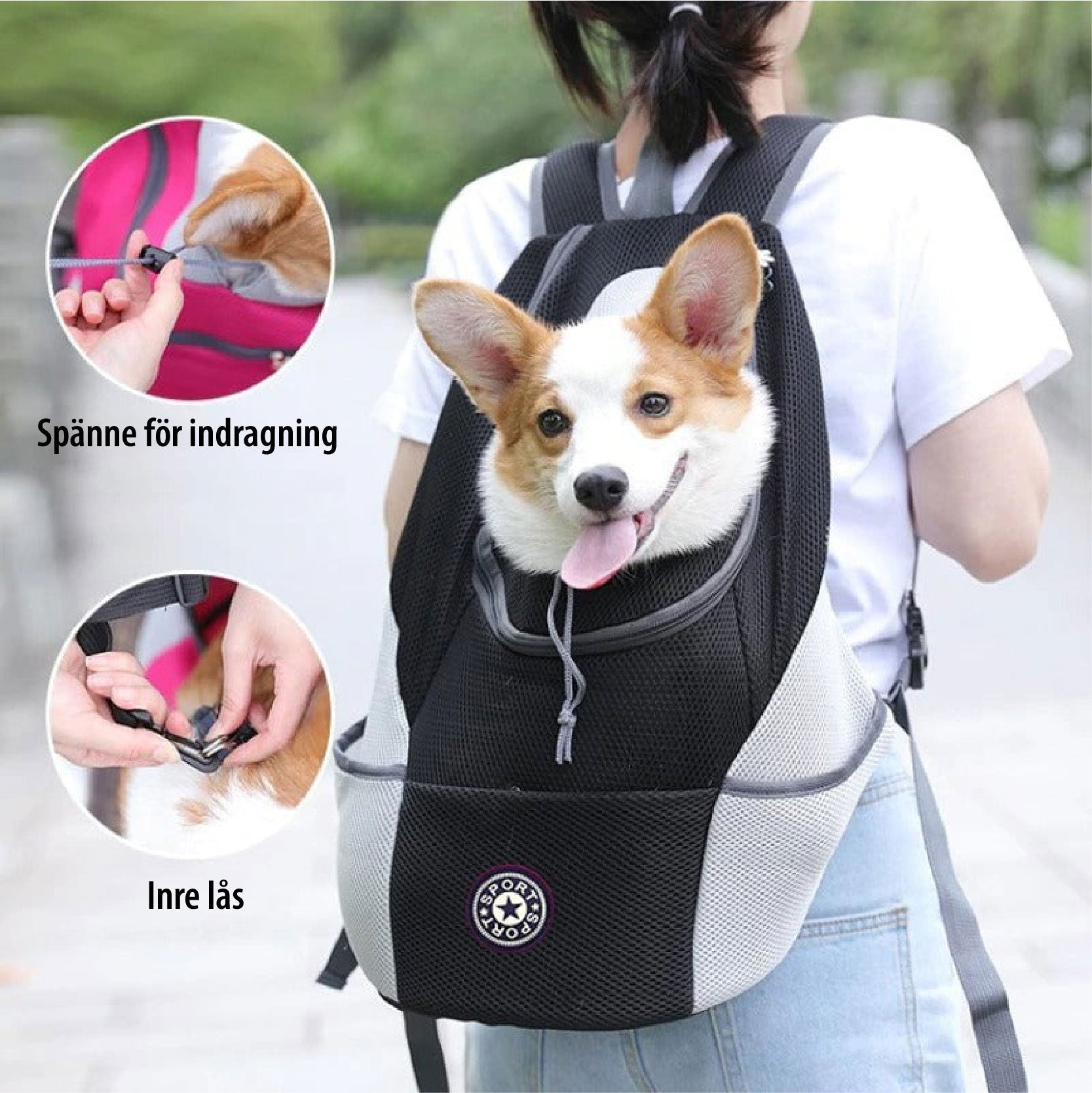 PawCarry - Travel everywhere together
