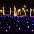 MushBright - Unique LED lighting for the garden [Last day sale]