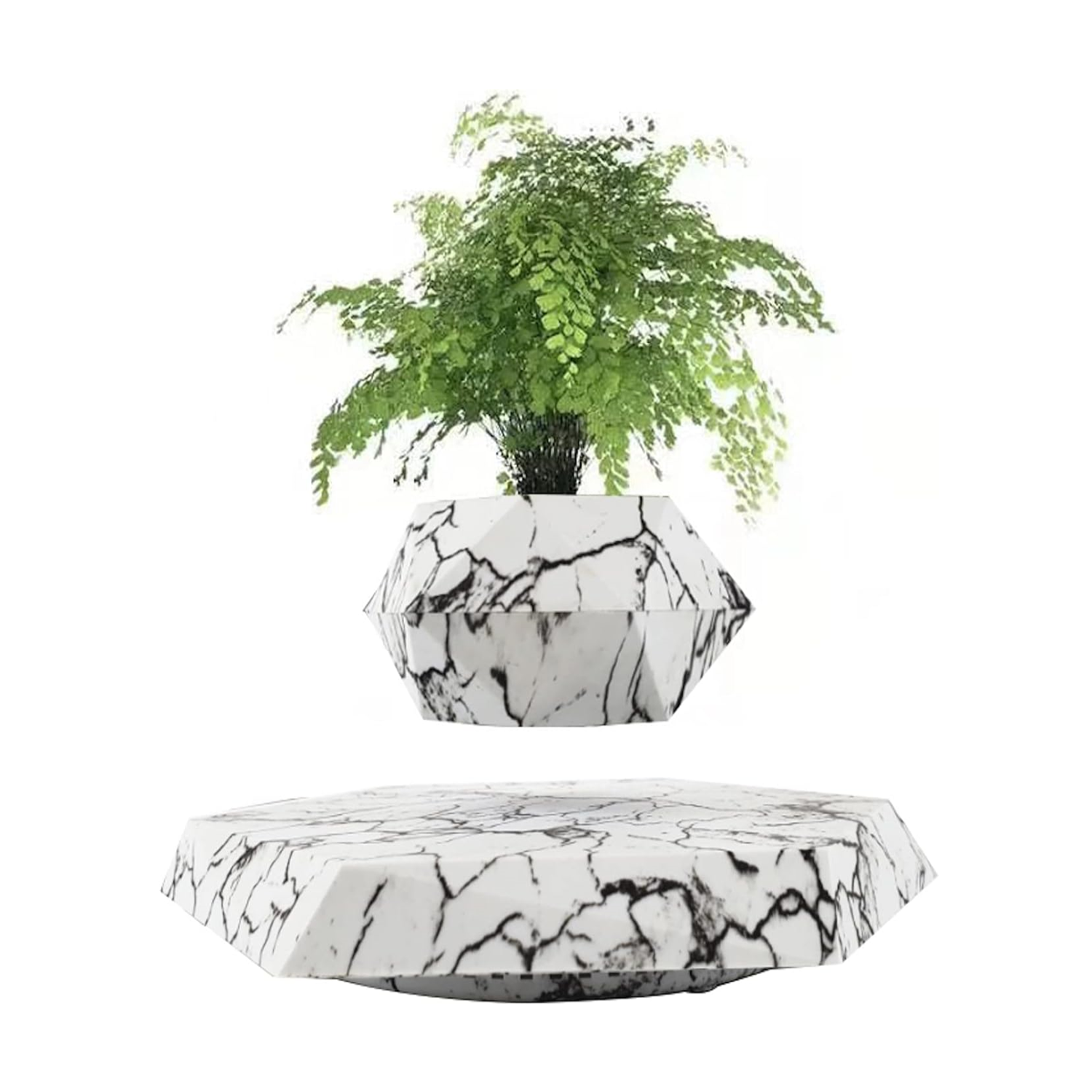 Plantlev - The floating plant that catches everyone's attention!