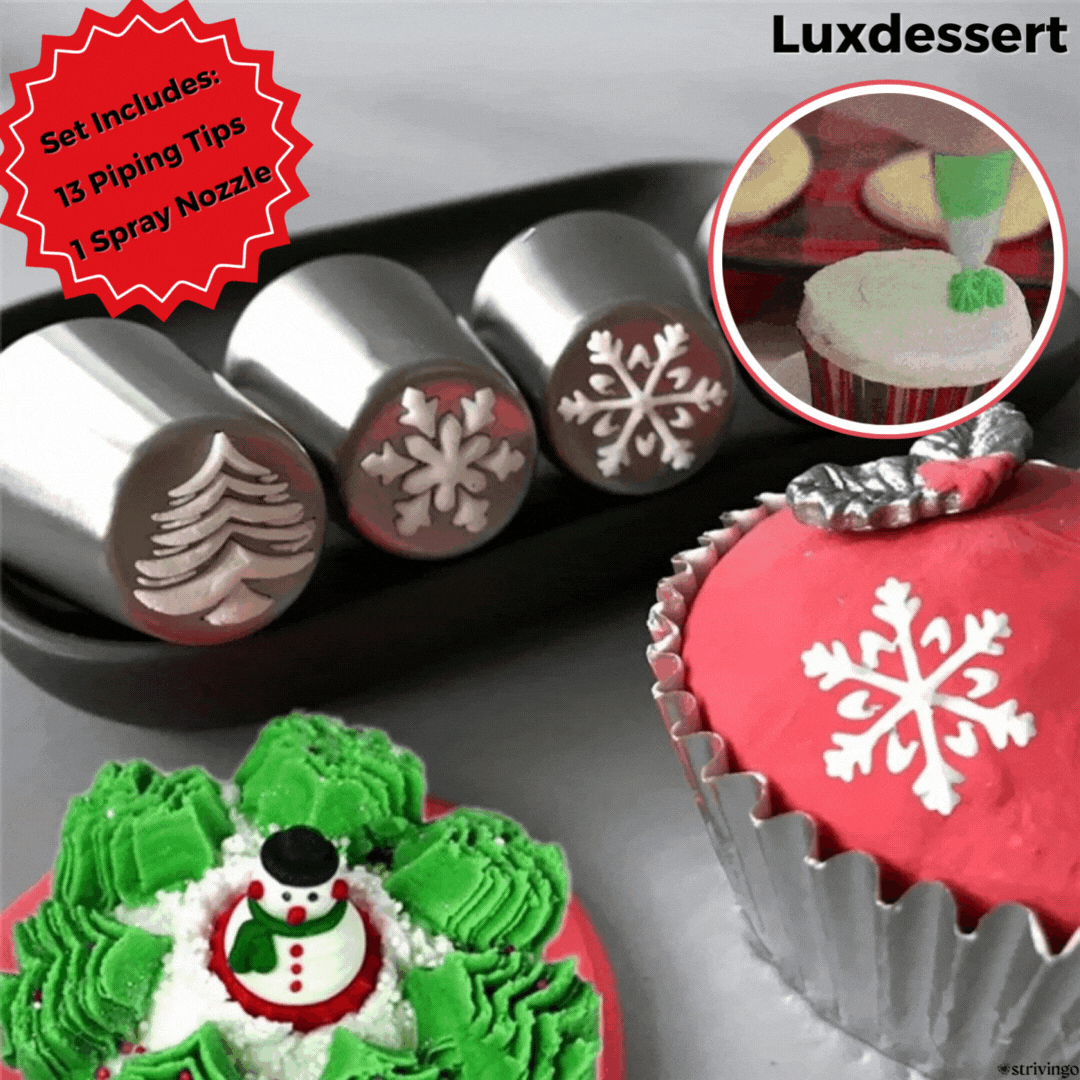 DecoBake - Set of 13 piping tips, bake like a pro with ease [last day sale]
