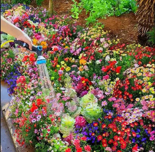 BloomMix™ - Colorful flower variety all year round