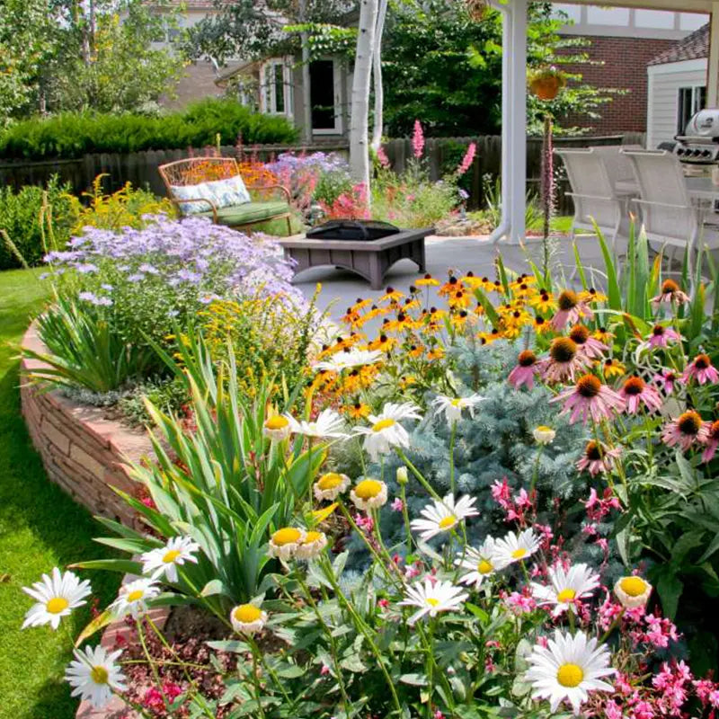 BloomMix™ - Colorful flower variety all year round