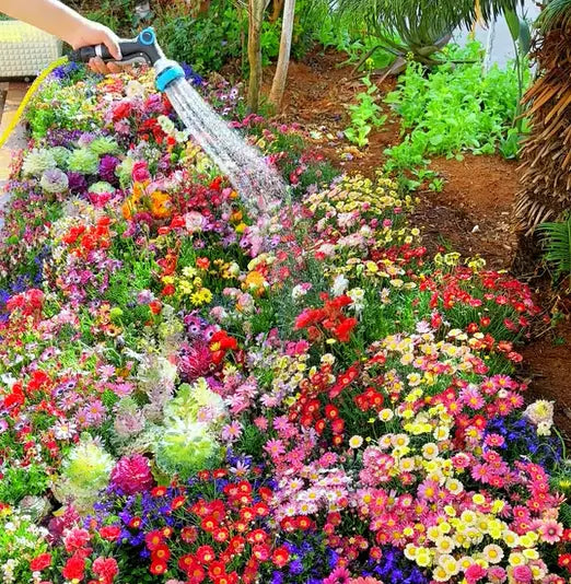 BloomMix™ - Colorful flower variety all year round