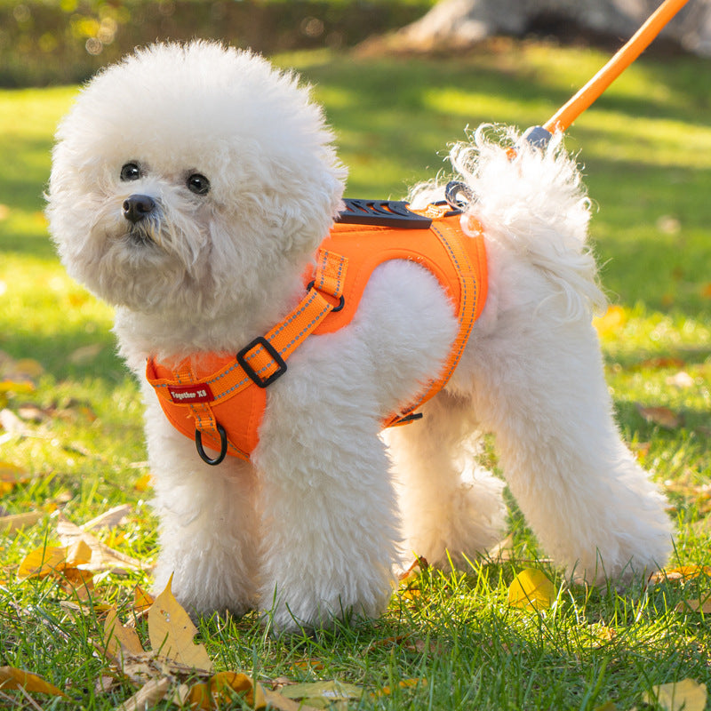 TailMate - The comfortable dog harness