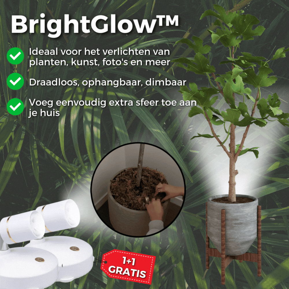 Buy one and get one free | BrightGlow™ - Wireless LED spotlight [Last day sale]