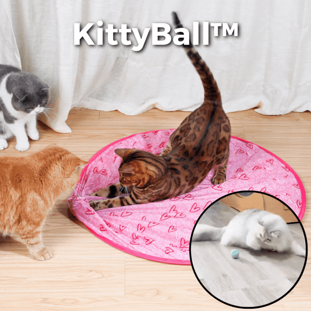 50% OFF | KittyBall™ - Electric Self-Rolling Cat Toy [Last Day Sale]