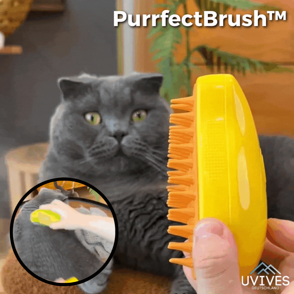 50% OFF | PurrfectBrush™ - Self-Cleaning Steam Cat Brush [Last Day Sale]