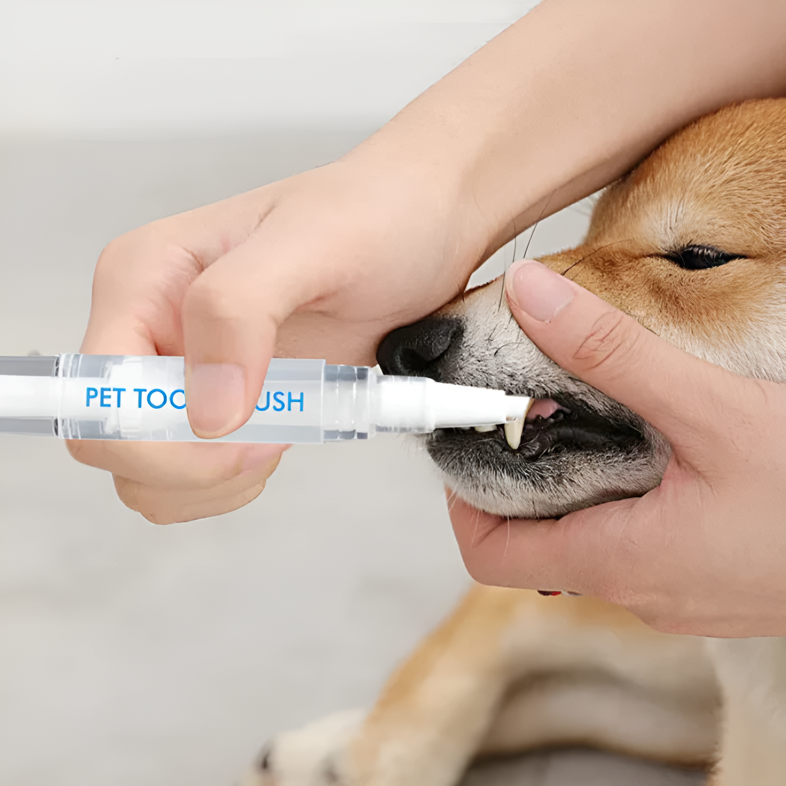 Buy 1+1 FREE | PawBright - Pet dental care made easy