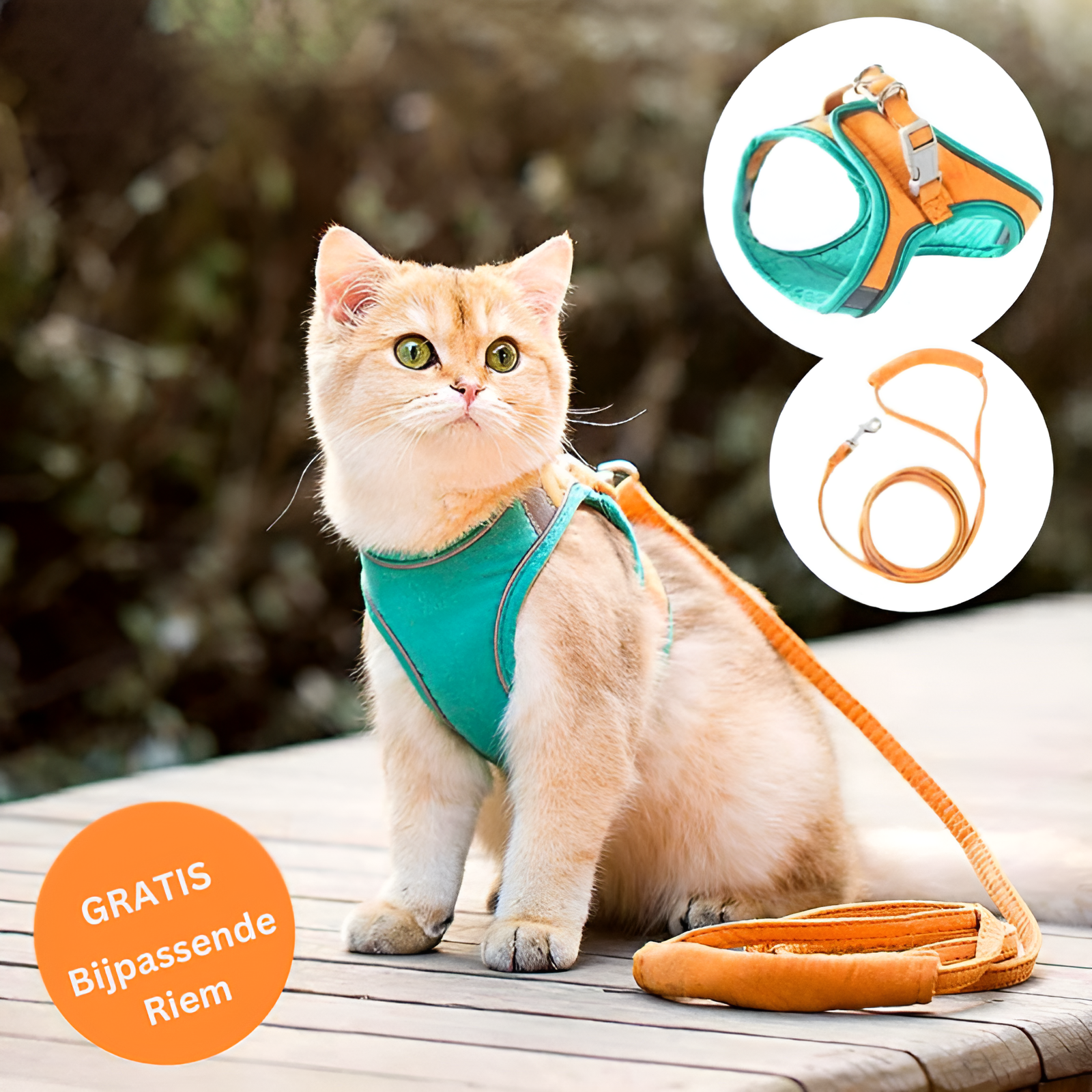 50% OFF | CatGuard - Cat Harness with Reflective Stripes [Last Day Sale]