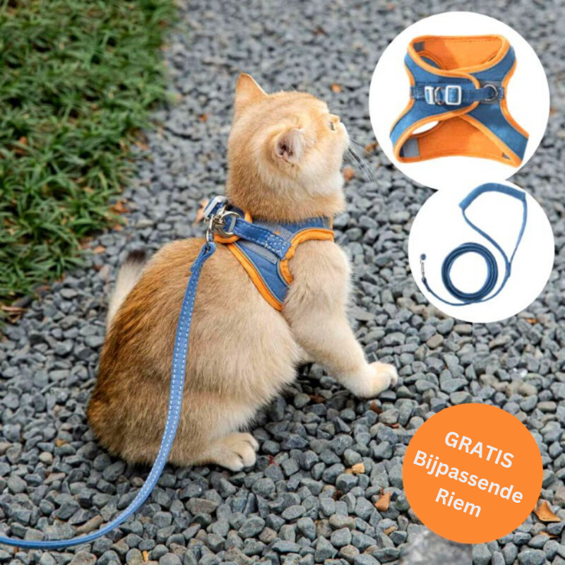 50% OFF | CatGuard - Cat Harness with Reflective Stripes [Last Day Sale]