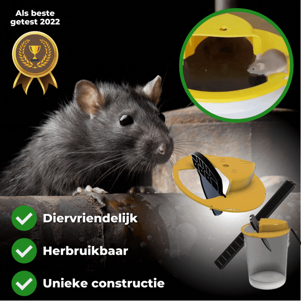 50% OFF | Flip &amp; Slide™ - Catch pests the humane way! [Last day of sale]