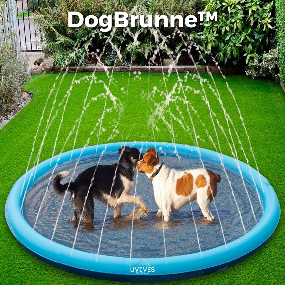 50% OFF | DogBrunne™ - Keep your loyal friend cool on hot summer days!