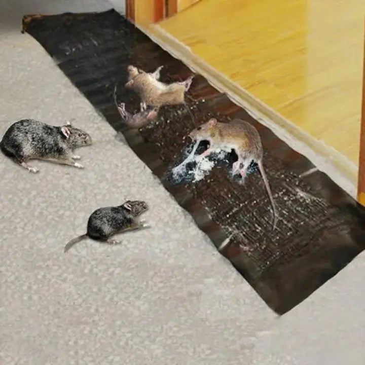 RatTrap - Non-toxic sticky trap against pests