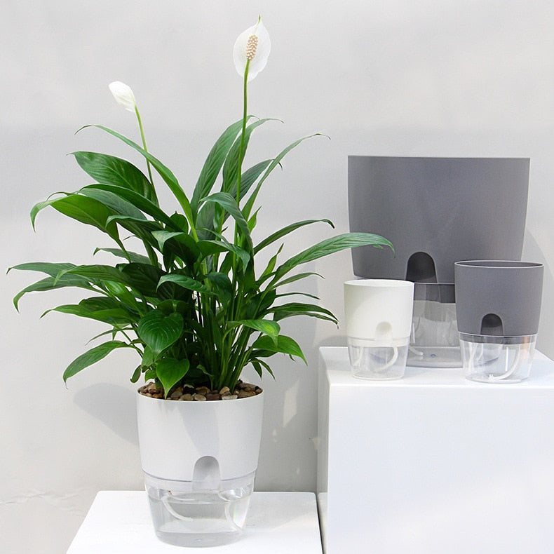 PlanterFlow - Self-Watering Planters [Last Day Sale]