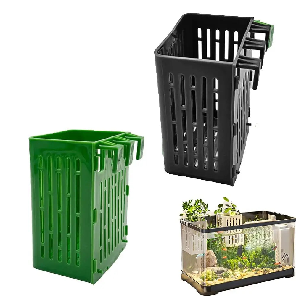Buy one and get one free | TankBloom – Natural flair for your aquarium!