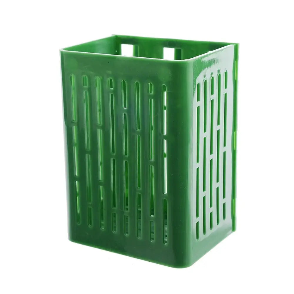 Buy one and get one free | TankBloom – Natural flair for your aquarium!