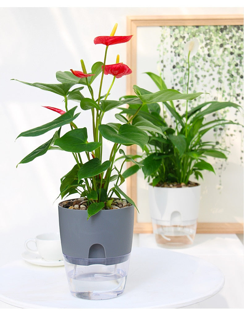 PlanterFlow - Self-Watering Planters [Last Day Sale]
